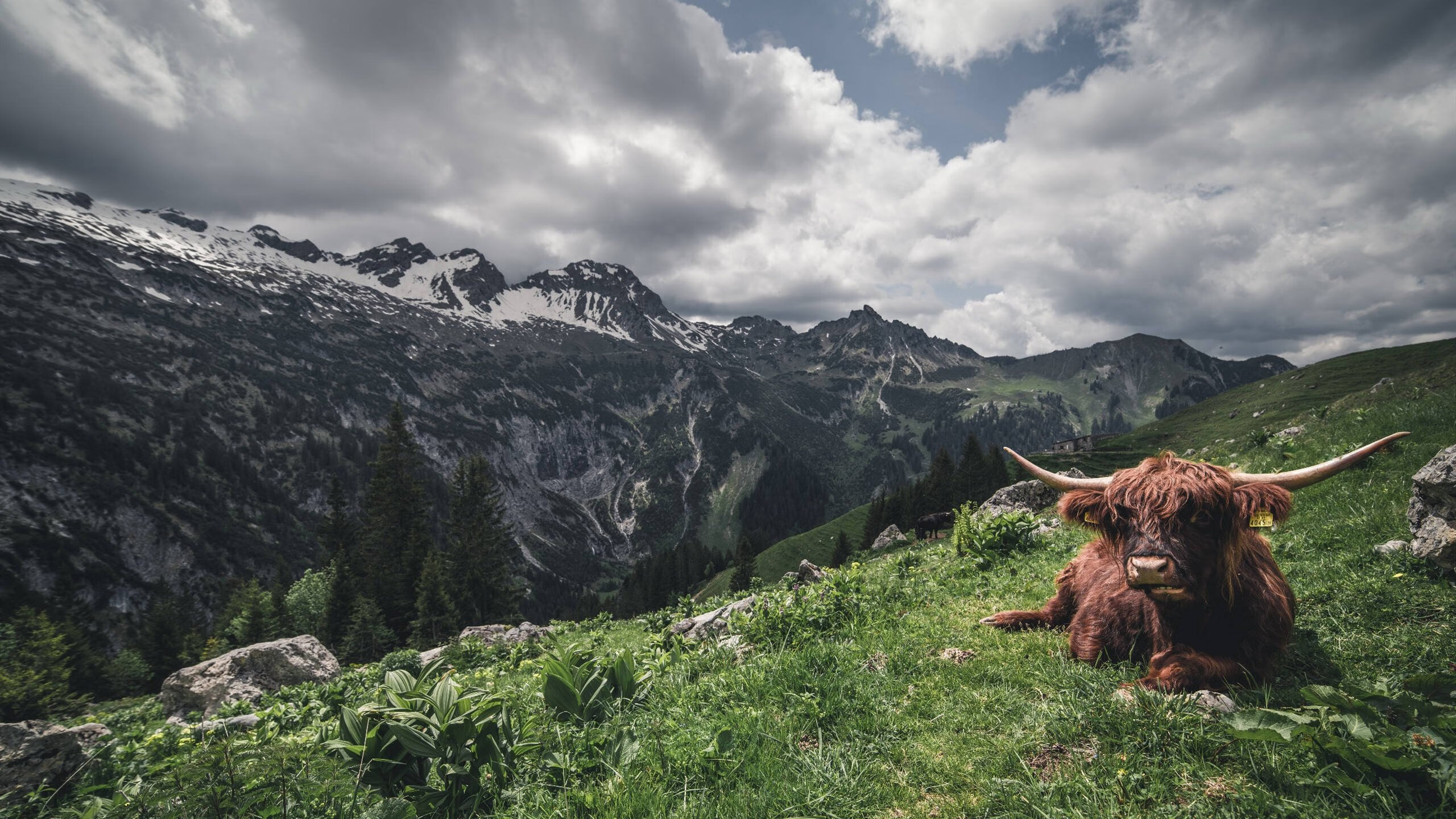 开云电竞平台注册-2022年总决赛：库里在关键时刻几次神级远投，让对手完全无解，夺冠瞬间令人难忘