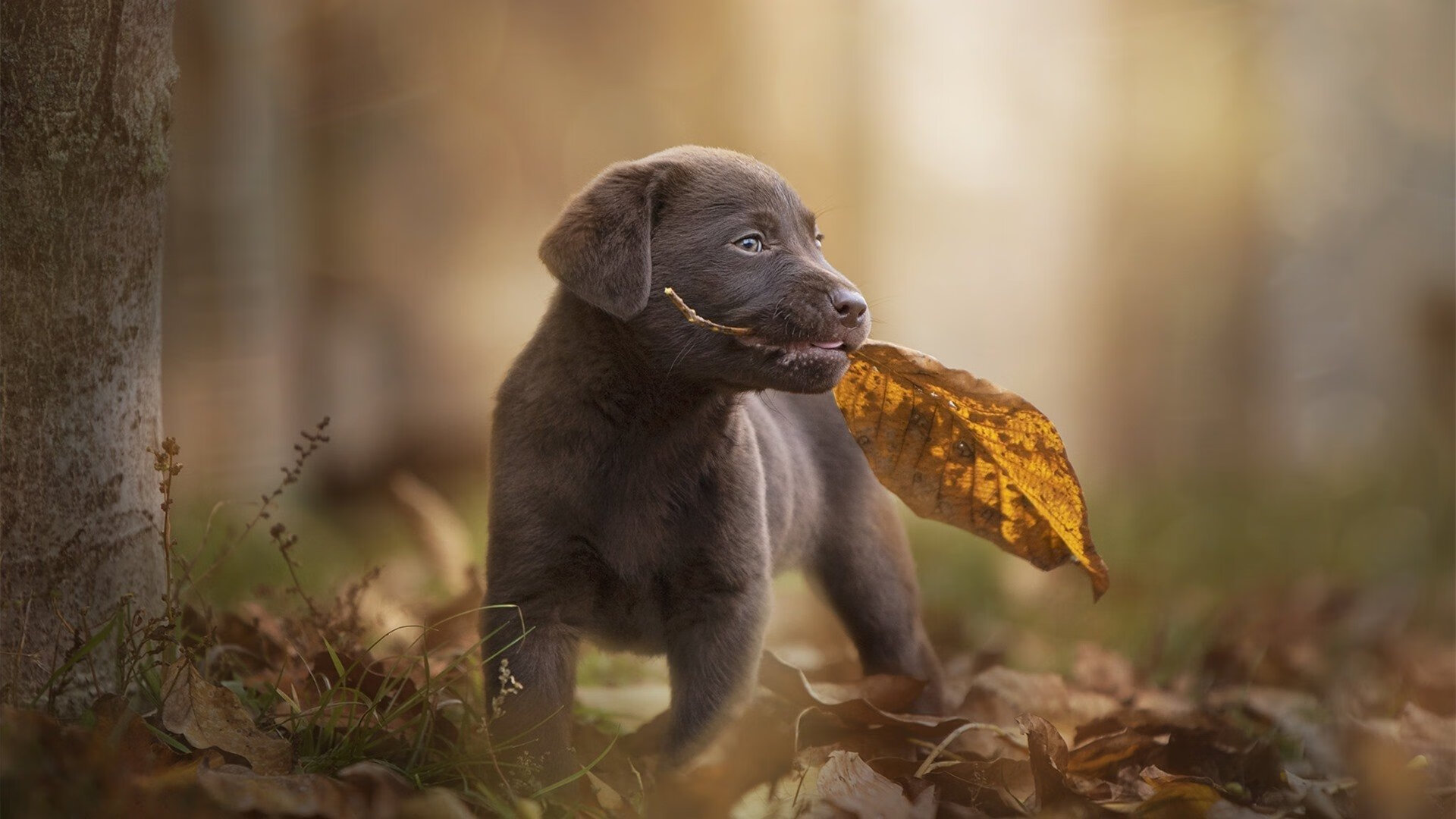 kaiyun体育综合-Dota 2 Fnatic意外失利 淘汰赛提前登场，dota2淘汰赛规则