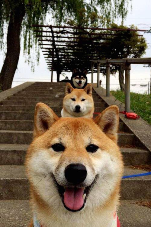 开云下载-Street Fighter VI世界电子竞技锦标赛即将开幕，世界电子竞技比赛项目