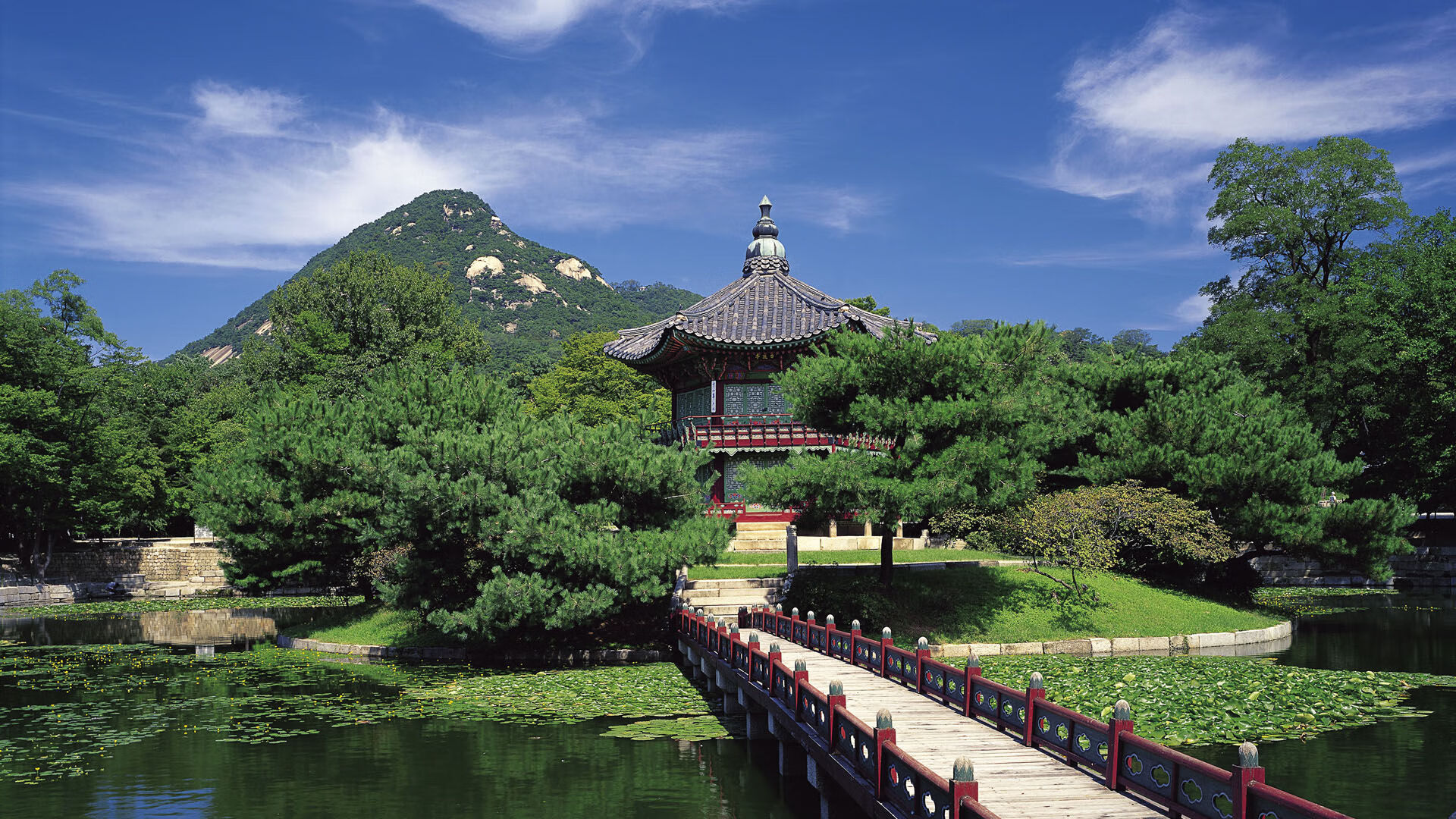 开云体育登陆入口-传奇教练的“战术思想”深度解读：从战术大师到文化领袖，足球教练战术大师