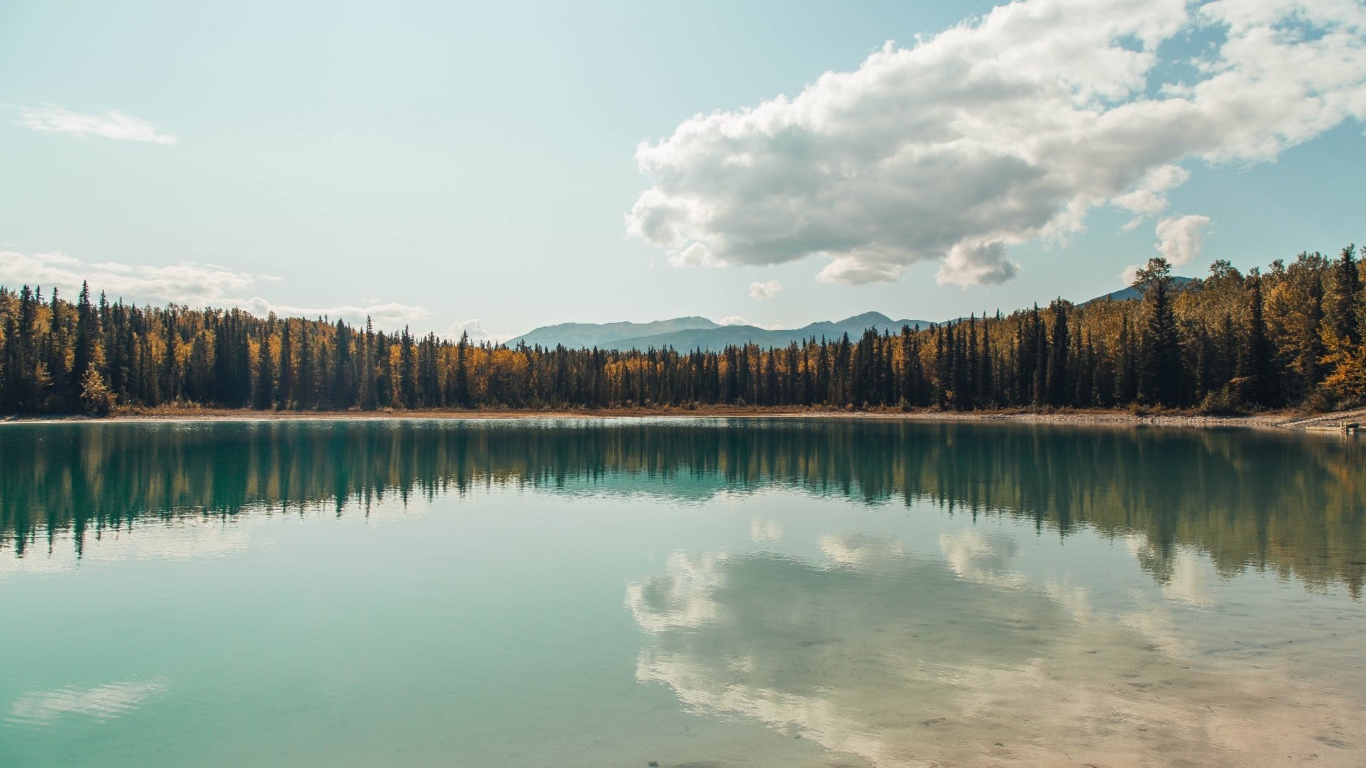 开云体育开云-升班马雷恩展现沉着应战，稳步前行，马雷怎么出生的