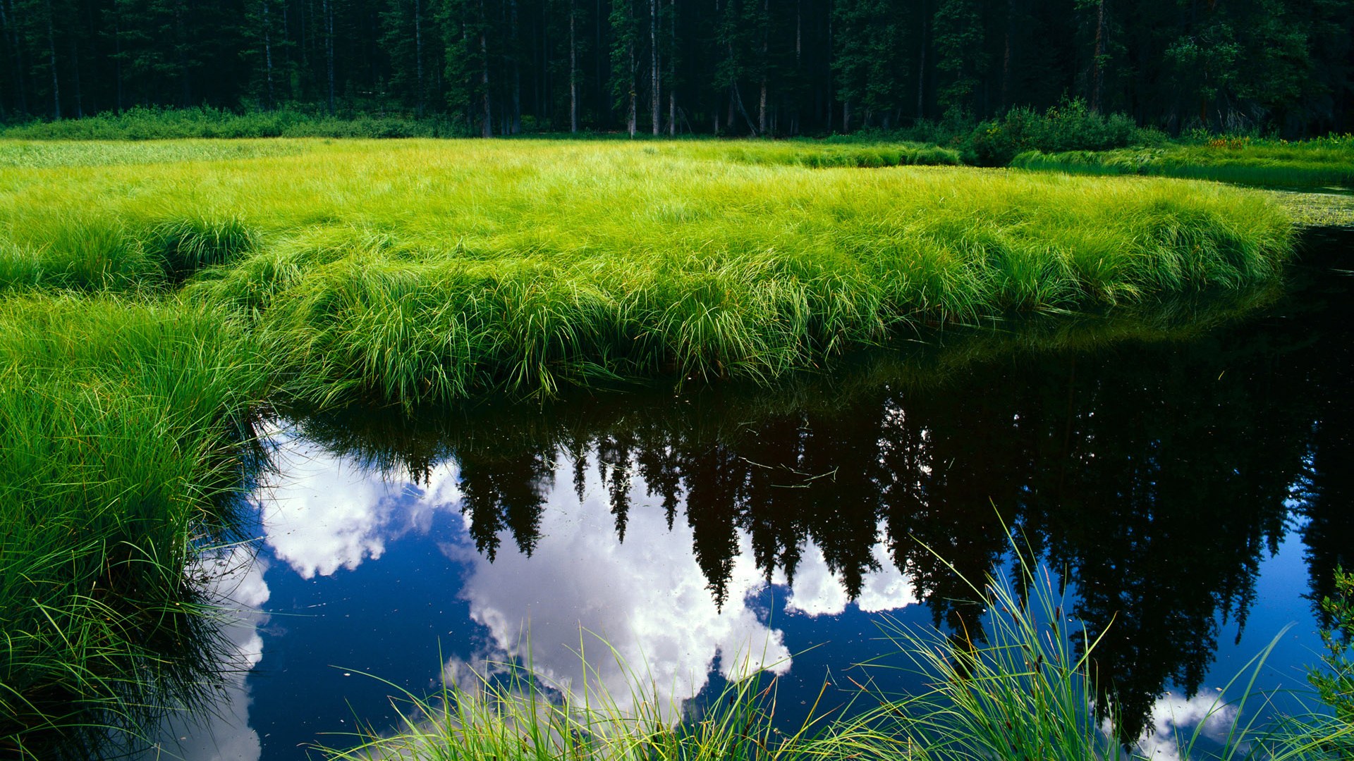 意大利评论员：塞内加尔足球风格在冰雪中更自由，塞内加尔足球怎么样