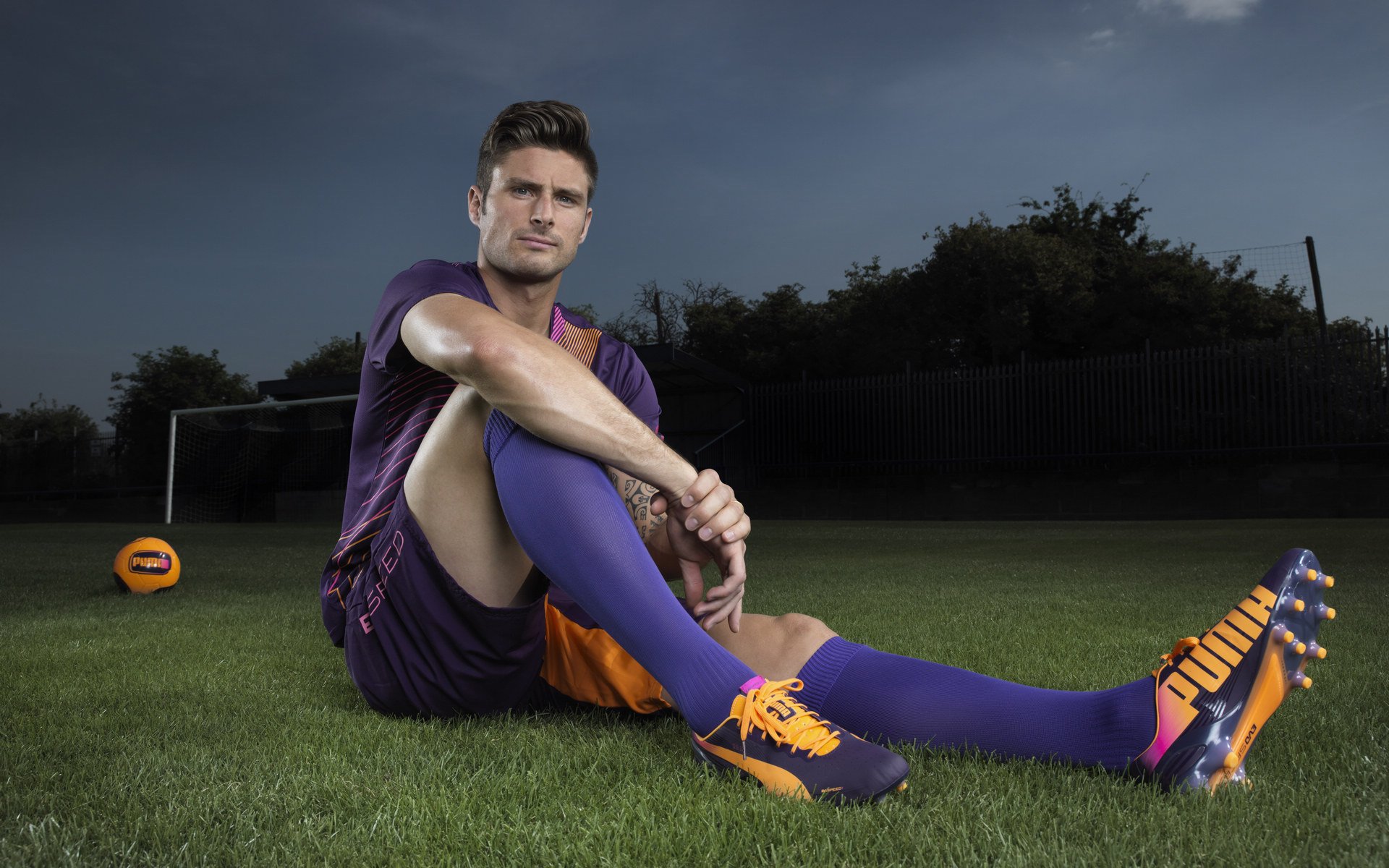 新西兰橄榄球赛事在全球范围内的转播权价值大增，新西兰橄榄球队徽