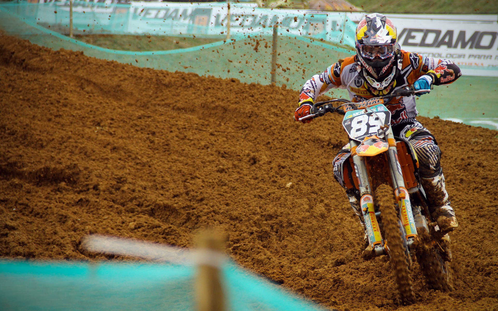 长距离泳王新星？贾瓦迪逐渐崭露头角